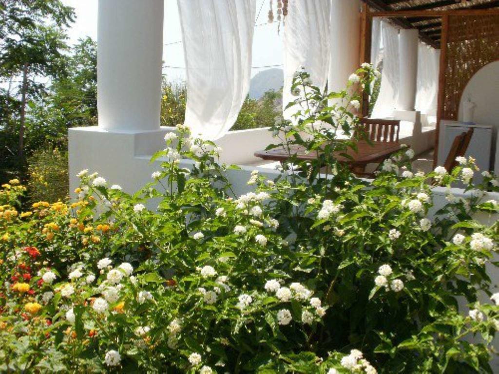 Villa Penelope & Calypso Acquacalda Habitación foto